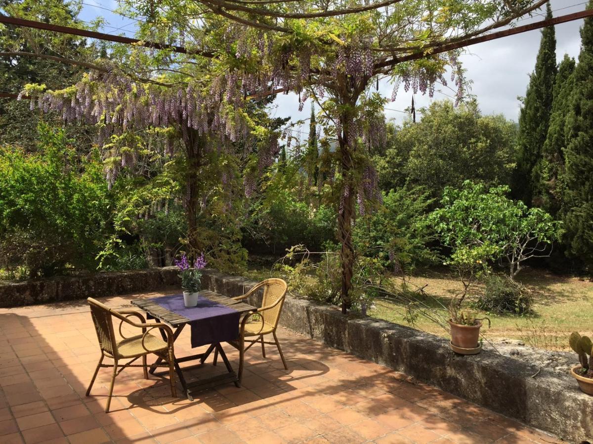 Finca Can Trui Teresa Pollença Exteriör bild